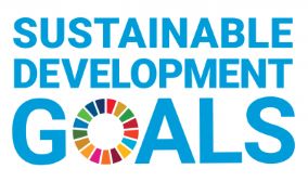 UNSDG logo