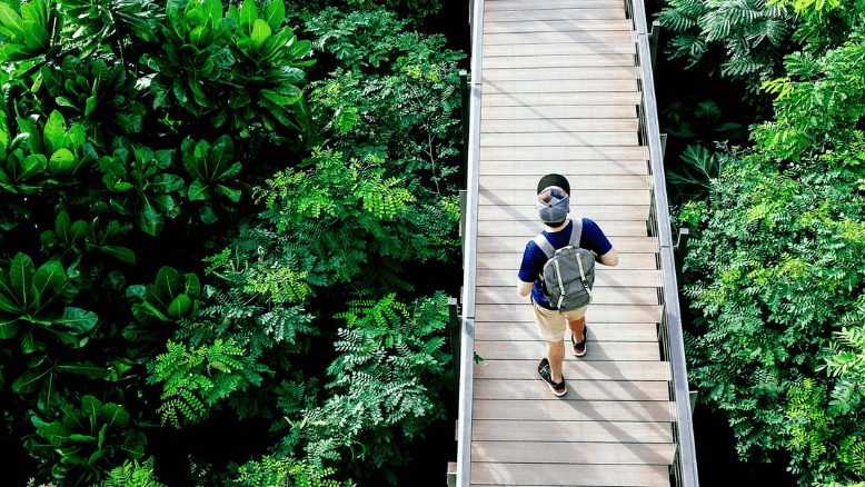 A man walking on a bridge over a forest