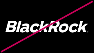 Do not italicize or shear the BlackRock wordmark