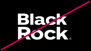 Do not change the relationship between the elements of the BlackRock wordmark