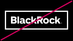 Do not add borders or decorative elements to the BlackRock wordmark