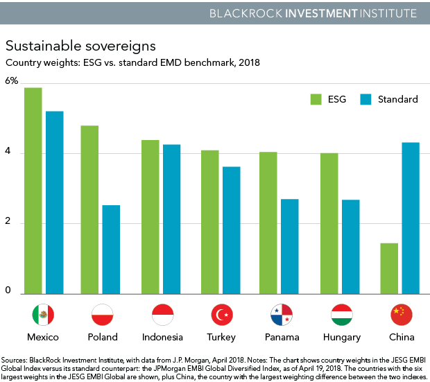 Sustainable Investing: A “why Not” Moment | BlackRock Investment Institute