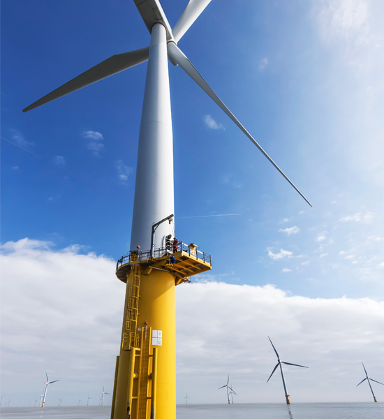 A view of a windmill farm from below