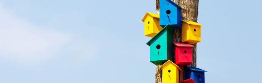 Colorful birdhouses on a tree