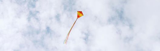 Kite