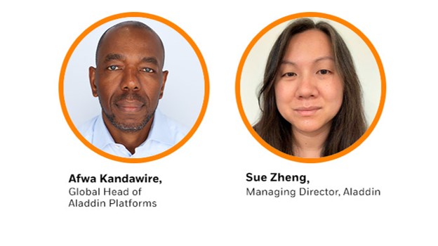 Afwa Kandawire and Sue Zheng