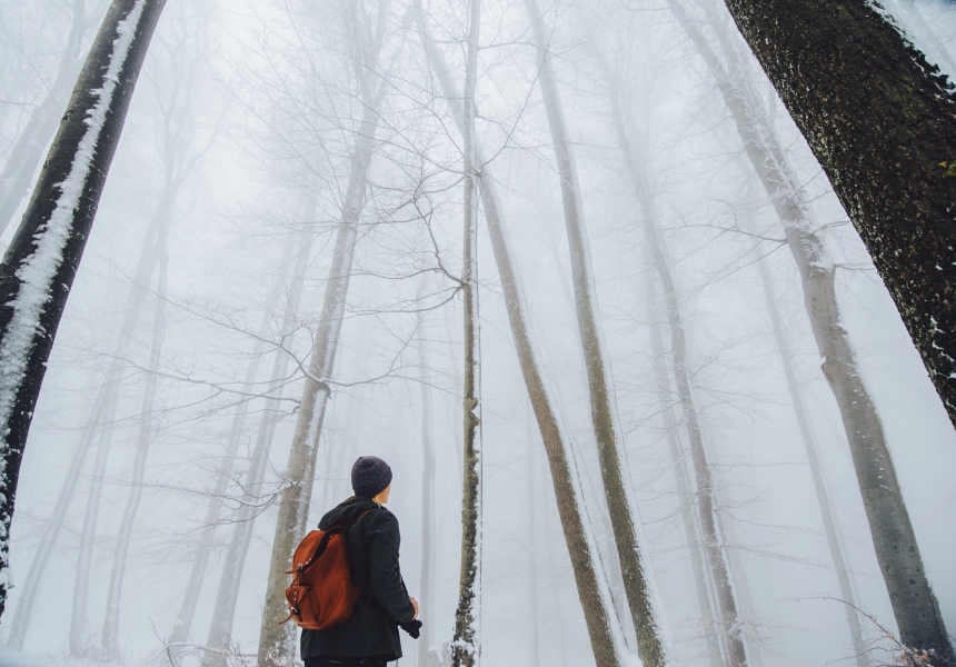 Man in the woods.