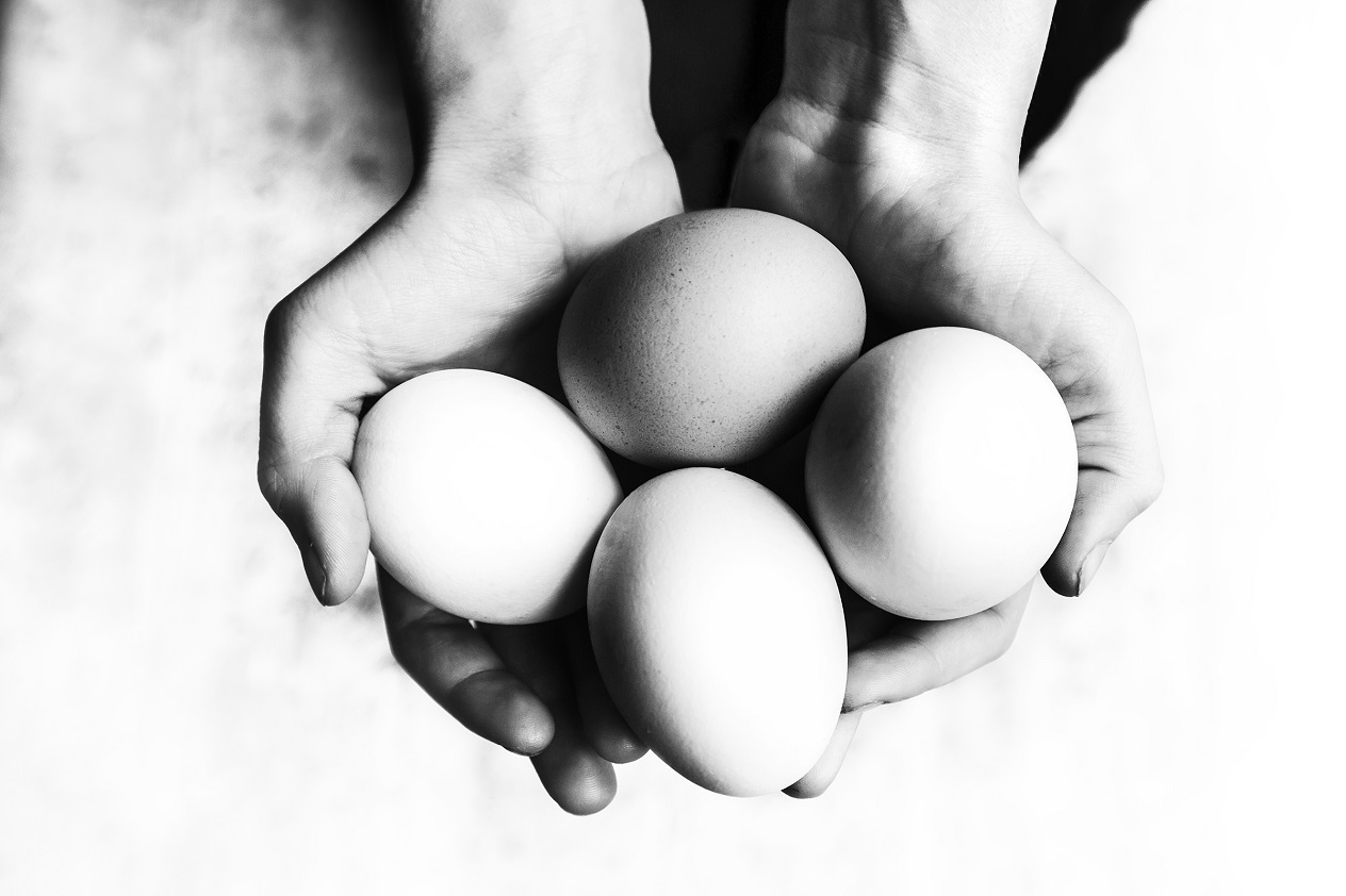 A person holding eggs in their hands