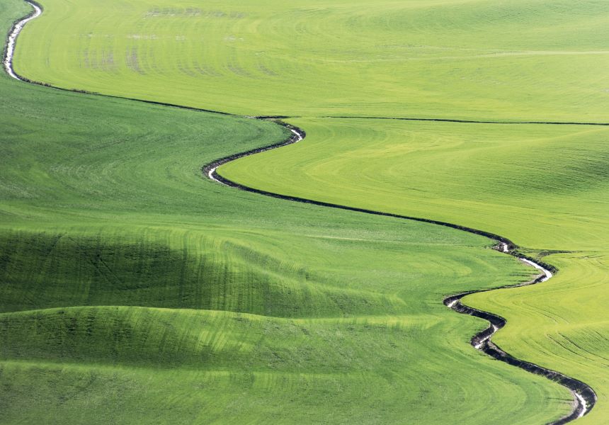 A stream running through a green field