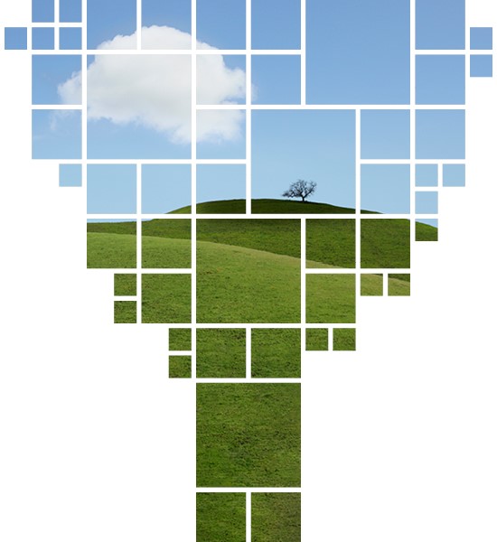 Exploring the future of Enterprise architecture