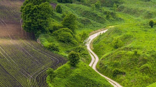 Winding dirt path running through green hills alongside cultivated farmland