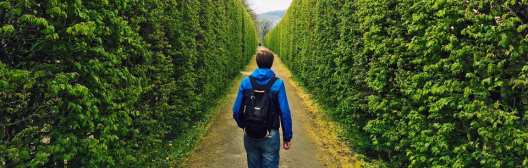 Man with backpack looking ahead through an opening in a forest