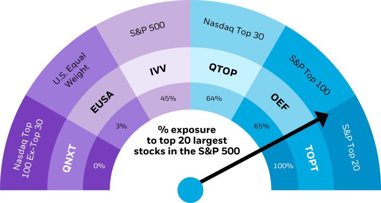 percentage exposure to the top 20 largest stocks in the SP 500