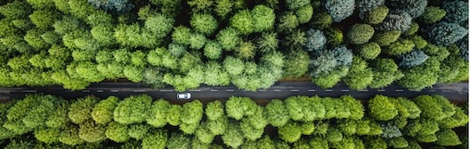 Bird’s eye view of small car driving through a thick dark green forest