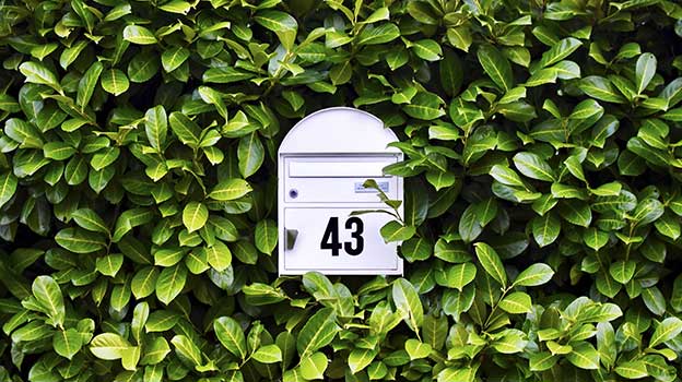A mailbox in hedges representing getting retirement insights delivered to your mailbox