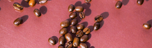 Coffee beans on pink background