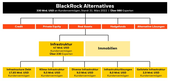 BlackRock infrastructure capabilities