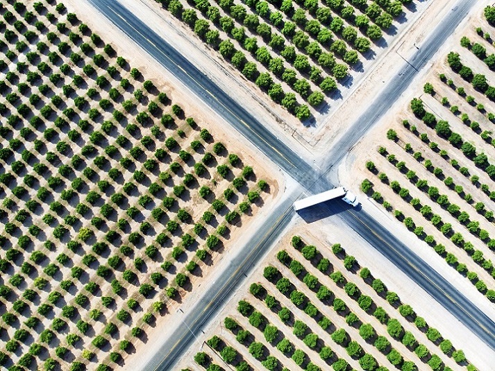 Overhead view of a green orchard with crossroads and a passing truck