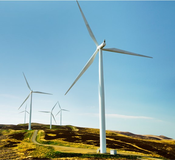 Windmills in a green landscape