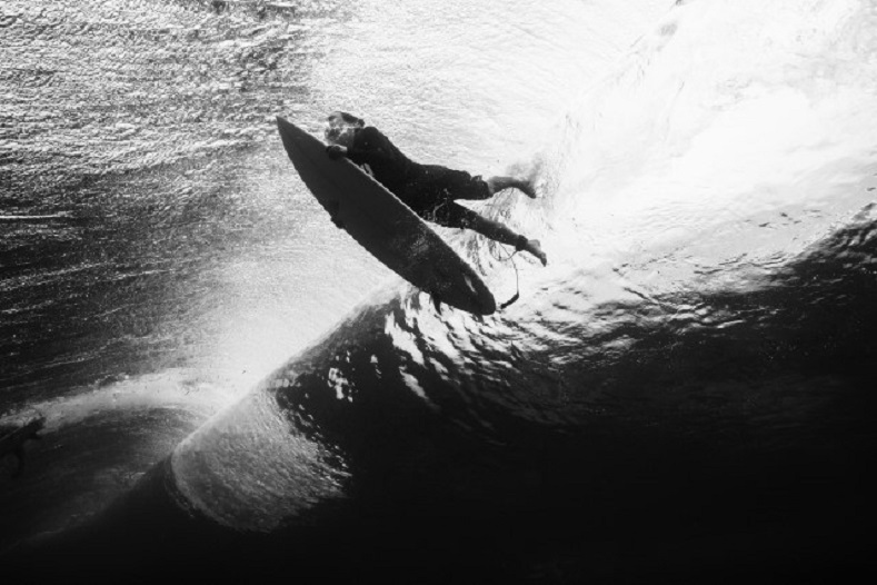 Catches wave on surfboard