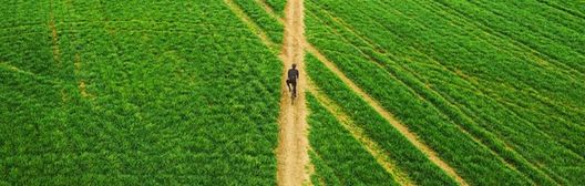 Man walks across the field