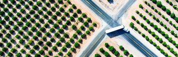 Aerial view of a truck traveling through an intersection surrounded by rows of trees.