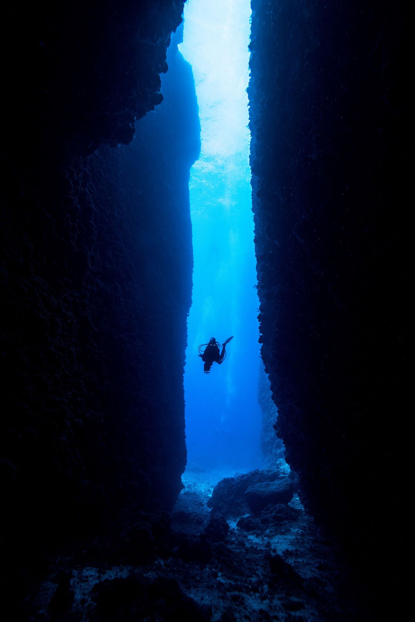 Underwater Diver