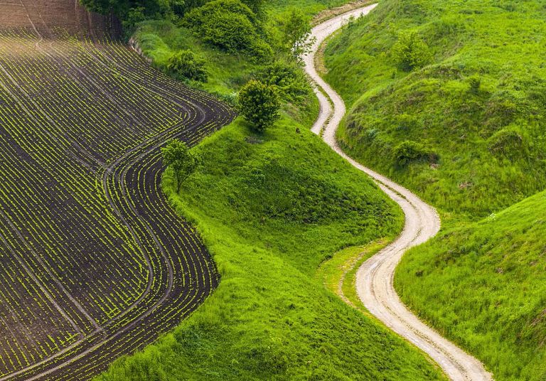 A winding road stretches through a lush green field